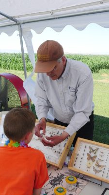 A man leans over flat cases displaying various insects, showing an insect to a boy. 