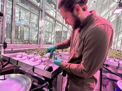 A young man pouring a liquid out of a long apparatus that plants are growing in. The lighting is pink. The man is wearing gloves and has dirty blond hair up in a bun as well as a short beard. 