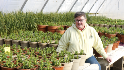 A pale chubby woman with curly black hair and glasses wearing a hoodie sitting in a hoophouse filled with many small potted plants.