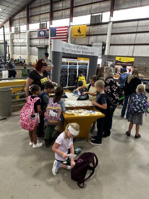 Several children are using irons on a piece of fabric while adults guide them. There is a large poster labeled Family and Consumer Sciences in the background and the room is very large.