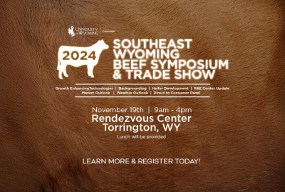 Promotional flyer for the 2024 Southeast Wyoming Beef Symposium & Trade Show hosted by University of Wyoming Extension. The event will take place on November 19th from 9 AM to 4 PM at the Rendezvous Center in Torrington, WY. Lunch will be provided. Topics include Growth Enhancing Technologies, Backgrounding, Heifer Development, Research and Extension Center Update, Market Outlook, Weather Outlook, and Direct-to-Consumer Panel. The flyer features a background resembling cowhide, with event details in white text alongside the UW Extension logo and an illustration of a cow. A call-to-action at the bottom encourages viewers to 'Learn More & Register Today!