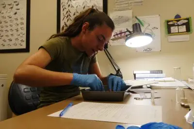A young woman focusing on doing something to an object in a tray. She is wearing rubber gloves. There are vials, papers, and scissors on the table, and it's lit by a lamp. On the wall behind her are several pictures of birds, some framed, some that look like children's artwork.