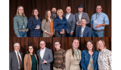 Three separate groupshots of people in semi-formal clothing holding small glass awards.