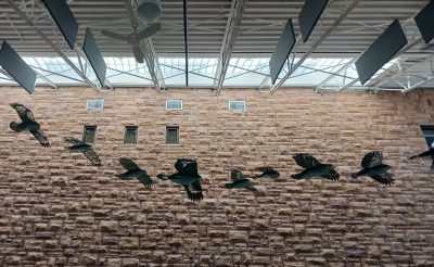 Metal hawks of various species in a line against a brick wall. Above them there are high windows and fans. 