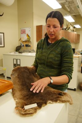 A woman in a green sweater holds up a pelt.