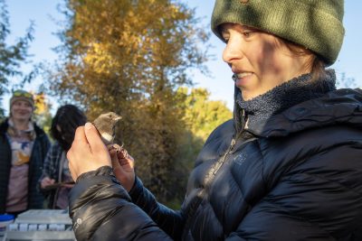 A woman in a black puffy jacket and green beanie holding a small gray bird with an orange eye, orange wing, and white stomach.