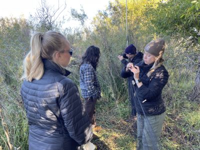 Two warmly dressed women carefully remove birds from a net while another woman looks on. They are in a forested area. 