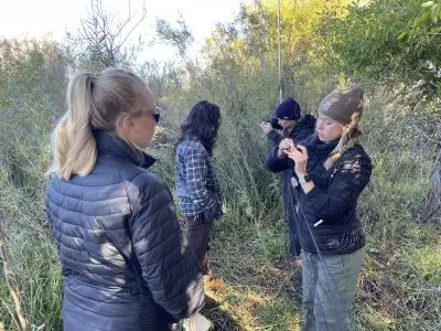 Two warmly dressed women carefully remove birds from a net while another woman looks on. They are in a forested area.