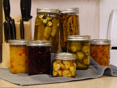 Seven mason jars, each containing something different. Jars appear to contain whole pickles, pickled asparagus, pickle slices, two kinds of relish, a jelly, and garlic cloves.