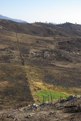 Burned, hilly rangeland with a damaged barbed wire fence. 