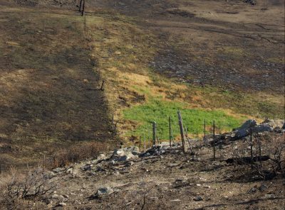 Burned, hilly rangeland with a damaged barbed wire fence.