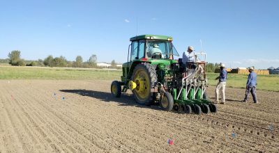 Two men seated on a tractor while two young men walk alongside in an empty field.