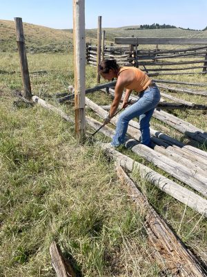 A young woman holds a metal tool to the base of a wooden fence post. She is standing on top of several other fence poles. 