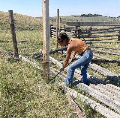 A young woman holds a metal tool to the base of a wooden fence post. She is standing on top of several other fence poles.