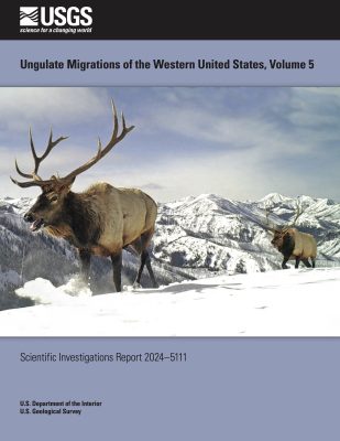 A cover that is titled "Ungulate Migrations of the Western United States, Volume 5." Bottom text reads "Scientific Investigations Report 2024-5111," U.S. Department of the Interior, U.S. Geological Survey. The cover image is of two elk walking through a very snowy mountainous environment. At the top of the poster is the USGS's logo with the slogan, "science for a changing world."