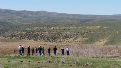 About ten people standing in a grassy, hilly landscape.