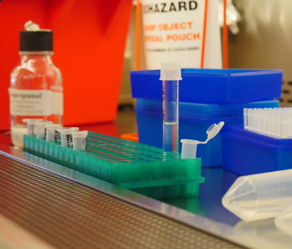 labeled test tubes and lab containers arranged on a metal surface in a laboratory workspace
