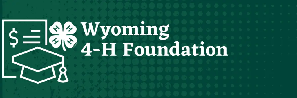 forest green banner with 4-H clover logo, white outline of a graduation cap, and outline of a sheet of paper with three horizontal lines and dollar sign