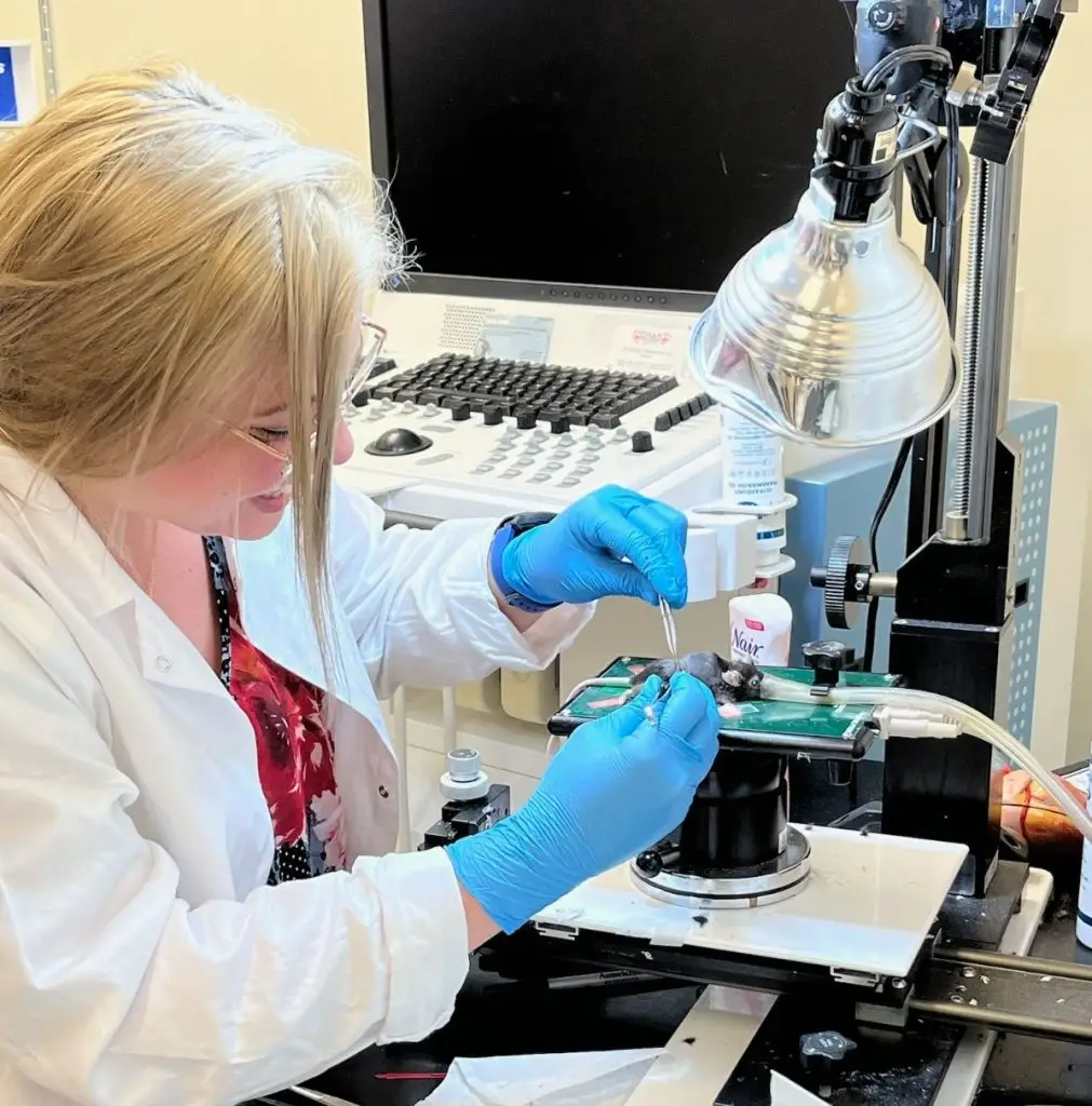 woman wearing lab coat and blue gloves performs a laboratory procedure on a mouse