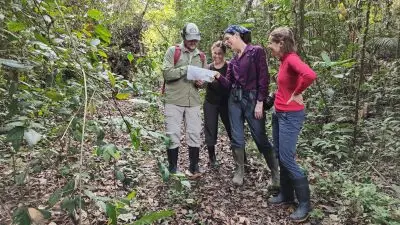 Four people look at paper in a rainforest.