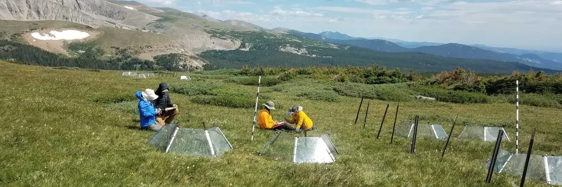 four people sit in an alpine meadow next to small plexiglas chambers used to simulate warming conditions