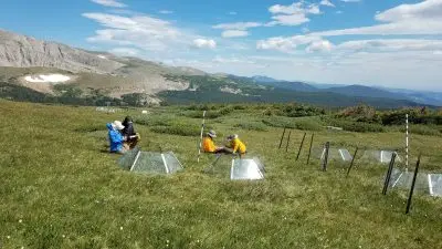 four people sit in an alpine meadow next to small plexiglas chambers used to simulate warming conditions