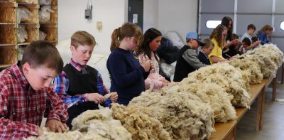 eleven children stand in front of a wooden table inspecting piles of sheep wool