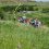 UW Extension Offers New Educational Series on Ranch Economics, Natural Resource Management