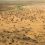 UW-Led Initiative Helps Map World’s Largest Land Mammal Migration