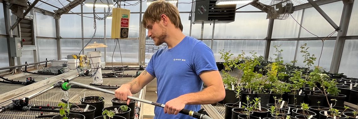 man waters plants in a greenhouse by hand using a hose