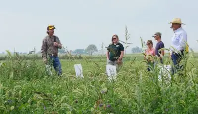 A man with a microphone stands in a field facing several listening people.