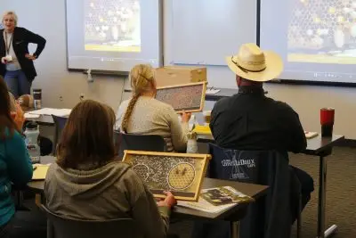 Participants examine handouts during a workshop about bees.