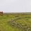 UW Extension Launches Emergency Hay Assistance Site for Producers Facing Wildfires