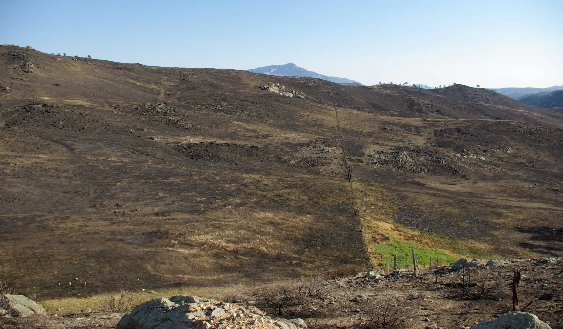 scorched brown land cleared by a mountain wildfire with one small patch of green near a fence line.