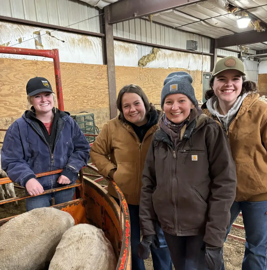 four smiling women wearing canvas work coats and jeans stand in a barn beside a metal pen containing lambs