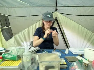 A woman holds up a tool to a hummingbird that is about as large as her hand.