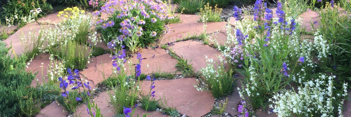 purple, white, and yellow wildflowers bloom between reddish slabs of rock