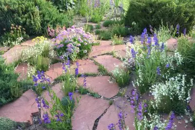 purple, white, and yellow wildflowers bloom between reddish slabs of rock