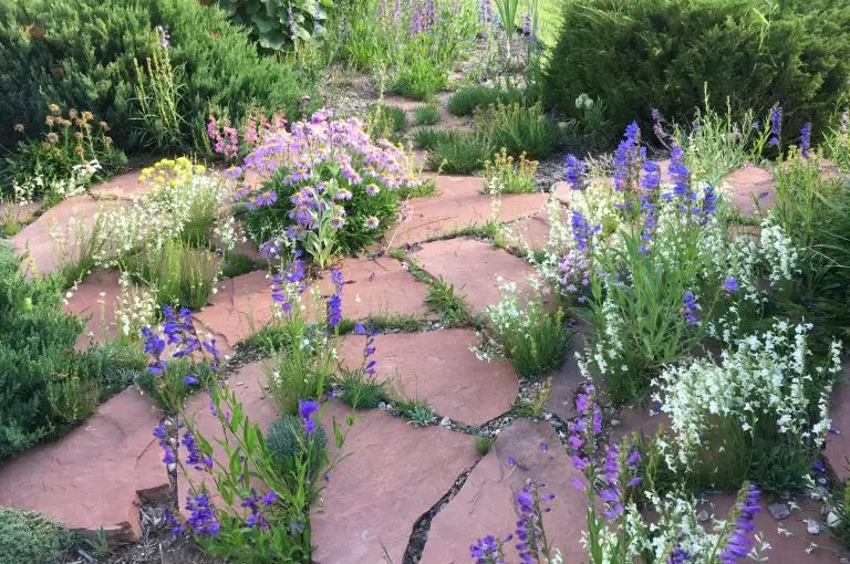 purple, white, and yellow wildflowers bloom between reddish slabs of rock