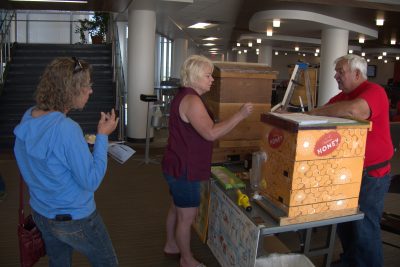 Two people look at two boxes marked 'honey' on a table.