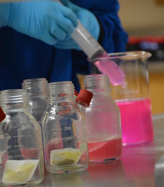 Hands wearing blue gloves transfer pink liquid into a glass beaker next to four other glass vials, two with forage samples visible