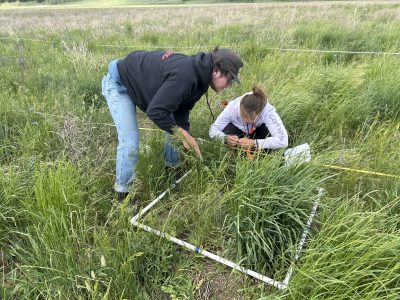 Two young people look at a framed, hollow square that is laying on the ground in a grassy field.