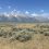Steppe by Steppe: UW Student Studies Sagebrush Restoration in Grand Teton National Park