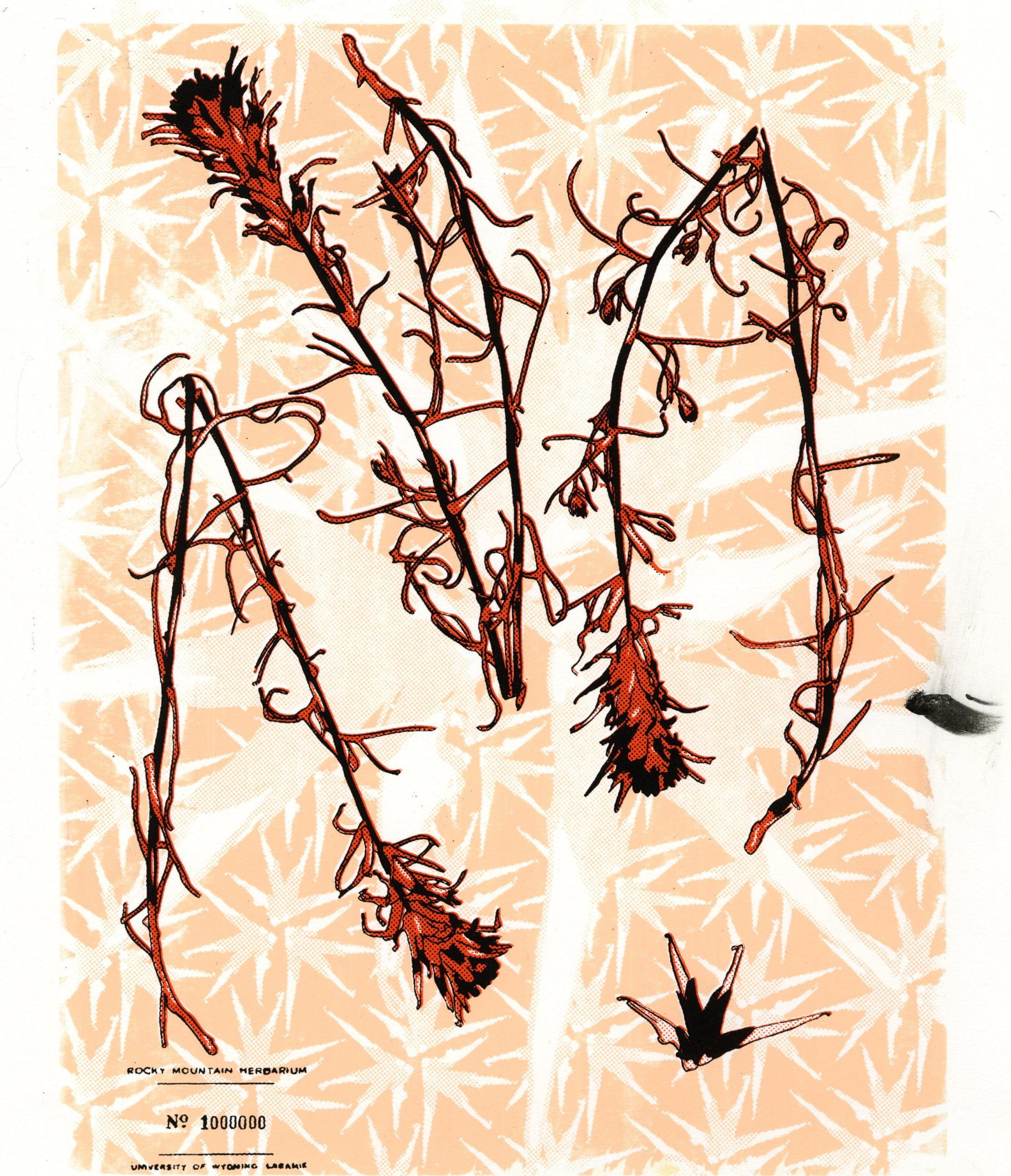 Screen print of red flowers and stalks with a peach-colored background with star-like pattern