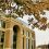 UW Launches Controlled Environment Agriculture Network