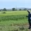 Drones Drive Wyoming Crop Research