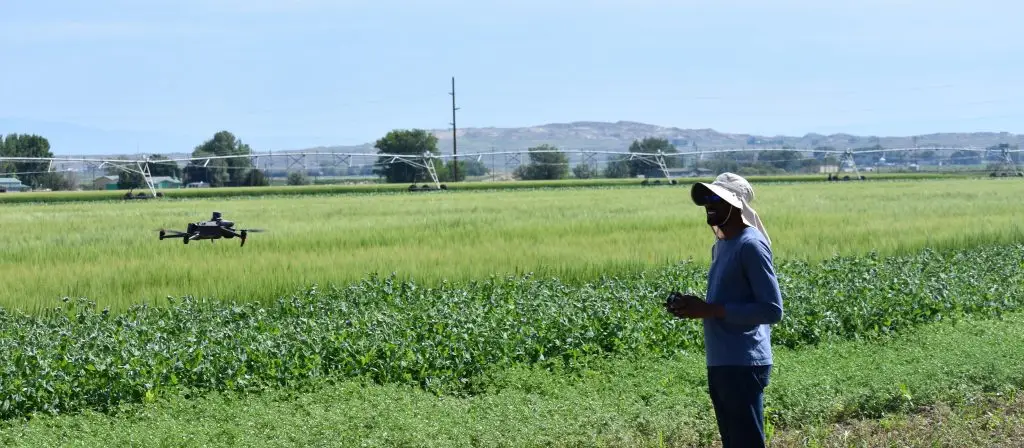 Man wearing sunhat uses a handheld controller to fly a drone in a crop field with pivot irrigation system and mountains in the background