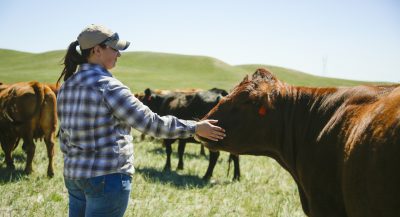 A woman lays her hand on a cow's nose.