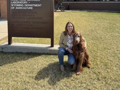 A person with a large dog by UW's Veterinary Sciences building.