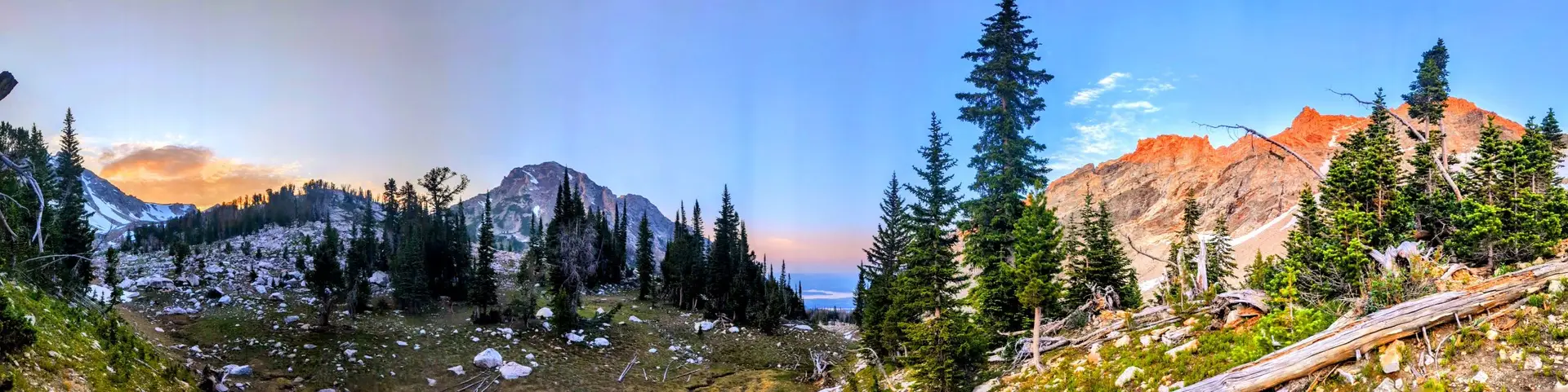 panorama of mountainous landscape dotted with dark fir trees, rocks and snowy crags with blue and pink sky above